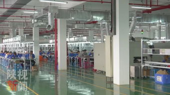 數(shù)字賦能，精準(zhǔn)破局 安康運(yùn)用大數(shù)據(jù)互聯(lián)網(wǎng)為貧困戶打通脫貧新路徑